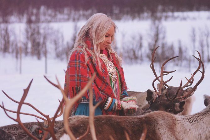 Reindeer Sledding and Feeding with Sami Culture in Tromso. - Wrap-up and Return