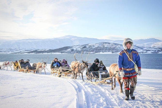 Reindeer Sledding Experience and Sami Culture Tour from Tromso - Key Points