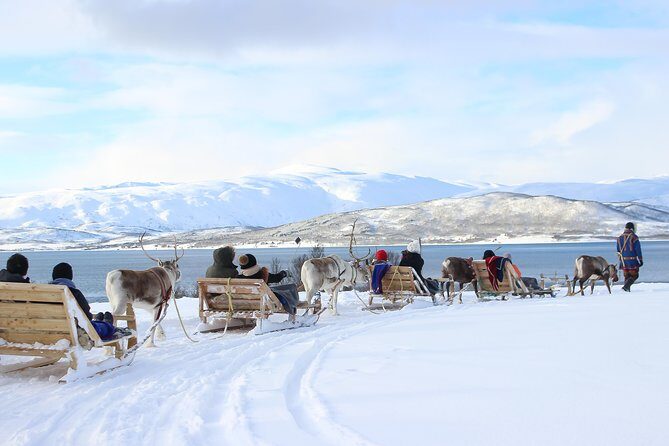 Reindeer Sledding Experience and Sami Culture Tour from Tromso - Who Is This Tour Best For?