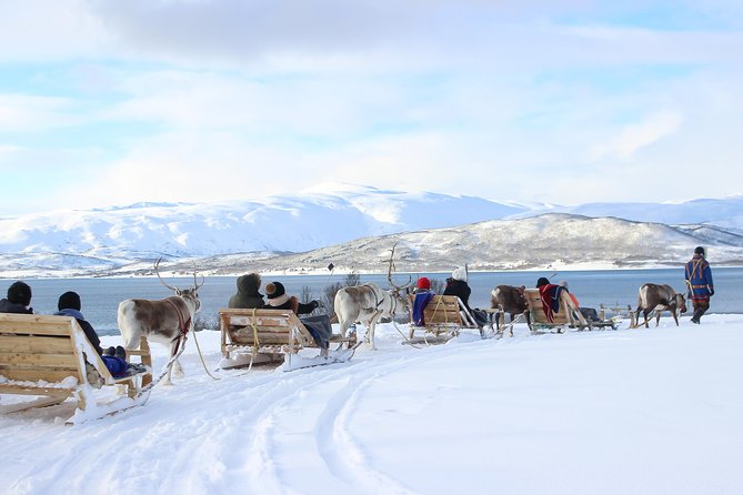 Reindeer Sledding Experience and Sami Culture Tour from Tromso - The Sami Culture Program: Stories, Joik, and Real Context