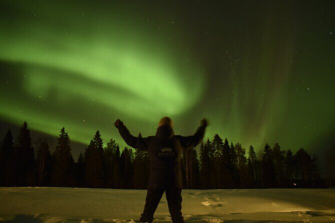 Reindeer sleigh ride across the night in Apukka Resort Rovaniemi - What Is the Reindeer Sleigh Ride Like?