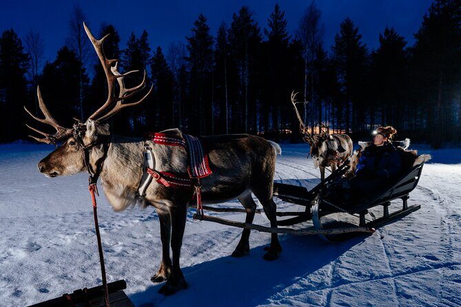 Reindeer sleigh ride across the night in Apukka Resort Rovaniemi - The Experience of the Forest at Night