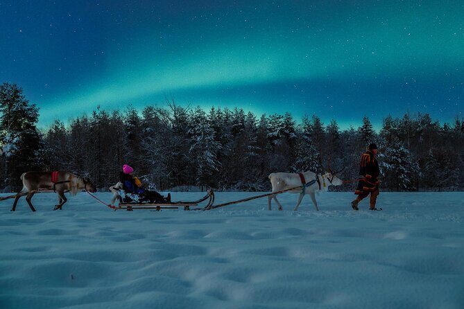 Reindeer sleigh ride across the night in Apukka Resort Rovaniemi - The Hot Snacks and Warmth