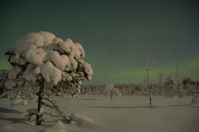 Reindeer sleigh ride across the night in Apukka Resort Rovaniemi - Who Should Consider This Tour?
