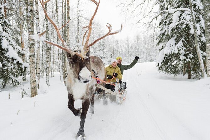 Reindeer Sleigh Ride and Farm Experience from Rovaniemi - FAQ
