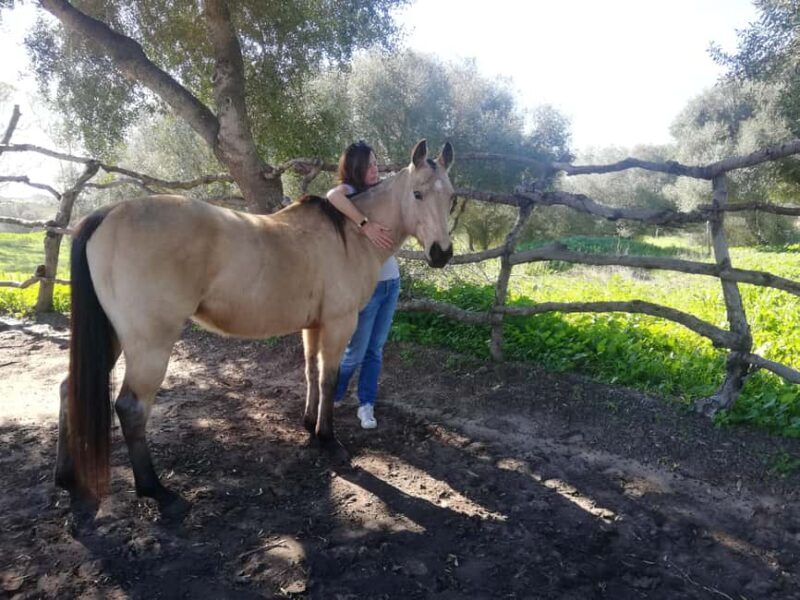 Relax & Mindfulness with Horses in Vejer de la Frontera - FAQ