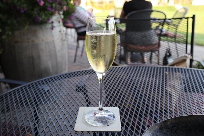 Relaxing Afternoon Wine Tour through Niagara's Wine Country - What Do Travelers Say?