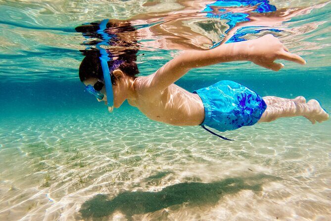 Relaxing and fun Ibiza chill cruiser half day tour all included - The Experience: What to Expect