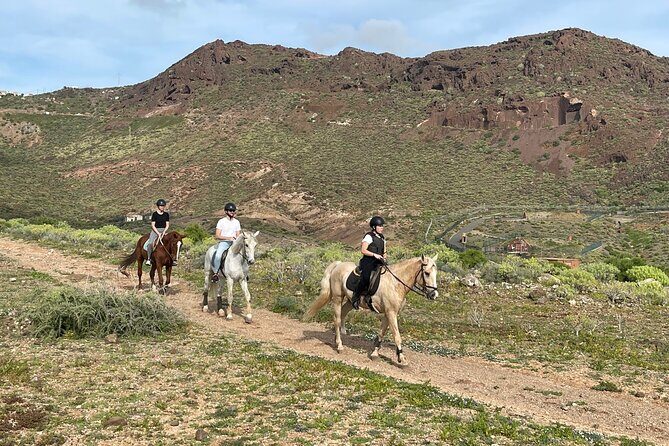 Relaxing Horse Riding Tour in Gran Canaria - What to Expect on the Tour