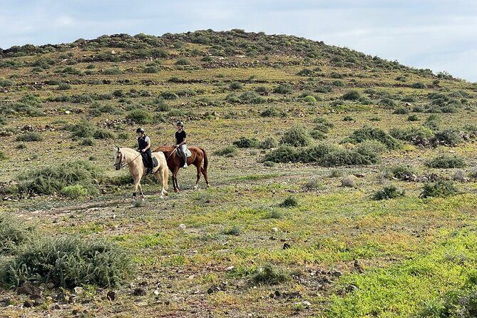 Relaxing Horse Riding Tour in Gran Canaria - Practical Details