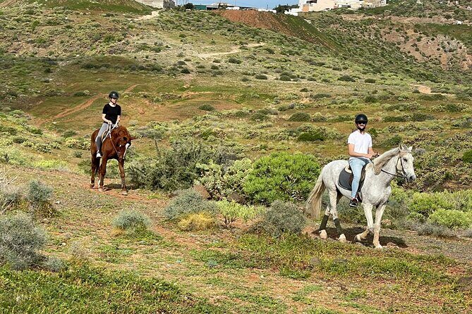 Relaxing Horse Riding Tour in Gran Canaria - What Travelers Say