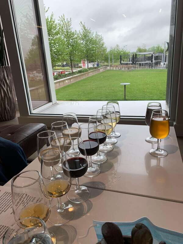 Relaxing Lunch & Wine Tour through Niagara's Wine Country - Key Points