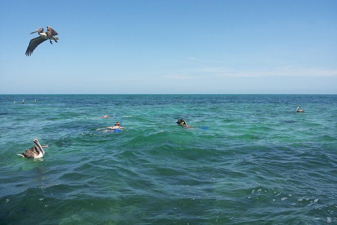 Relaxing private boat tour to Cabo Catoche with fishing - Final Thoughts