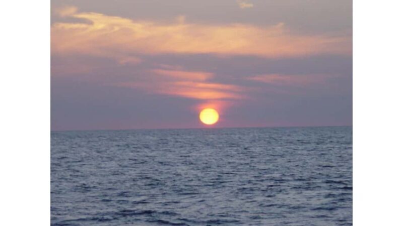 Relaxing Sunset/Evening Cruise in Newport Beach - The Cruise’s Atmosphere and Comfort