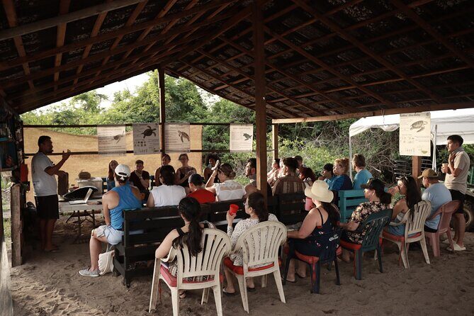 Release of Sea Turtles in Camp Tortuguero - Who Should Consider This Tour?