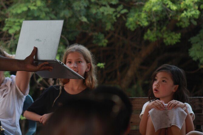 Release of Sea Turtles in Camp Tortuguero - FAQs