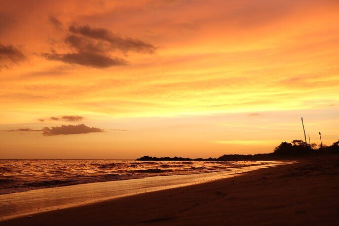 Release of Sea Turtles in Camp Tortuguero - Final Thoughts