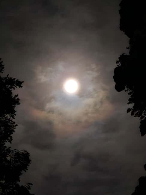 Remote Aurora Guiding - In The Sum Up