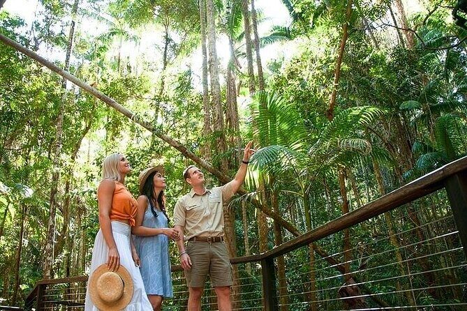 Remote K'gari (Fraser Island) & Whale Experience - The Sum Up: Is This Tour Right for You?