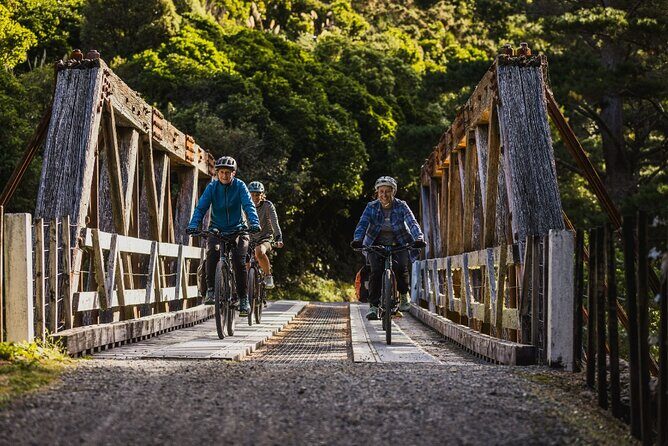 Remutaka Rail Trail Explorer - eBike Cruise Ship Shore Excursion - Key Points