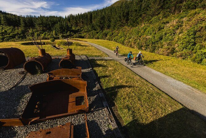 Remutaka Rail Trail Explorer - eBike Cruise Ship Shore Excursion - Deep Dive into the Itinerary
