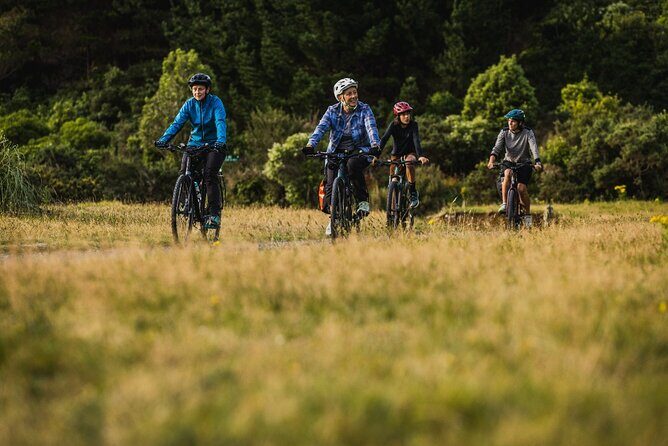 Remutaka Rail Trail Explorer - eBike Cruise Ship Shore Excursion - The Value of This Experience