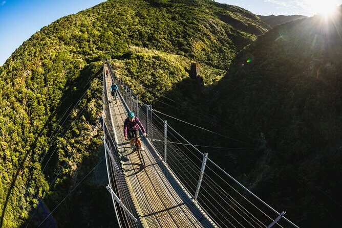 Remutaka Rail Trail Mountain Bike Explorer Cycle Tour - Discover the Remutaka Rail Trail on a Mountain Bike Explorer Tour