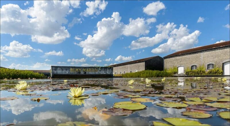 Rémy Martin Discover the production site by train - Final Thoughts