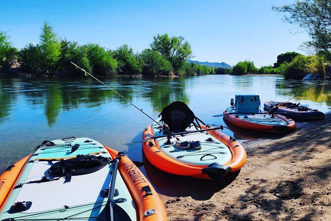 Rent a Paddle Board And Float the Lower Salt River - Why This Experience Works