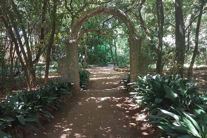 Rent a speed boat and explore beaches and coves of Elaphiti Islands - Who Should Consider This Tour?