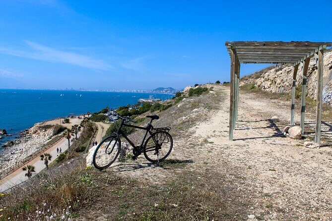 Rent a Trekking bike: Full Day 24 hours - Setting the Scene: What to Expect on Your Malaga Bike Day