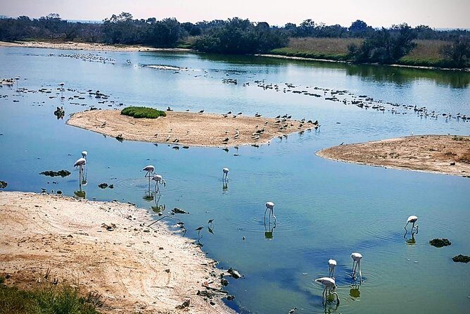 Rent a Trekking bike: Full Day 24 hours - Who’s This Experience Best For?