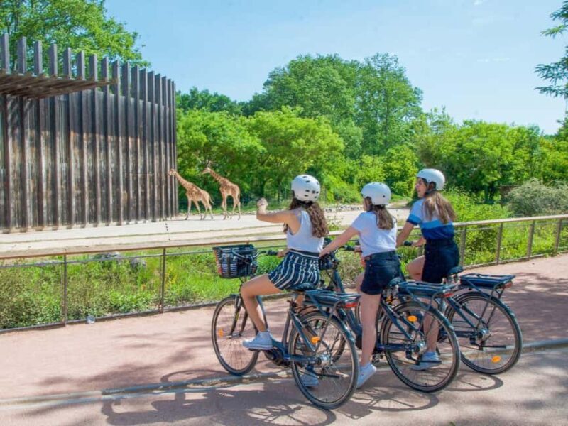 Rent an electric bike for the day in Lyon (+4h) - What the Rental Experience Looks Like