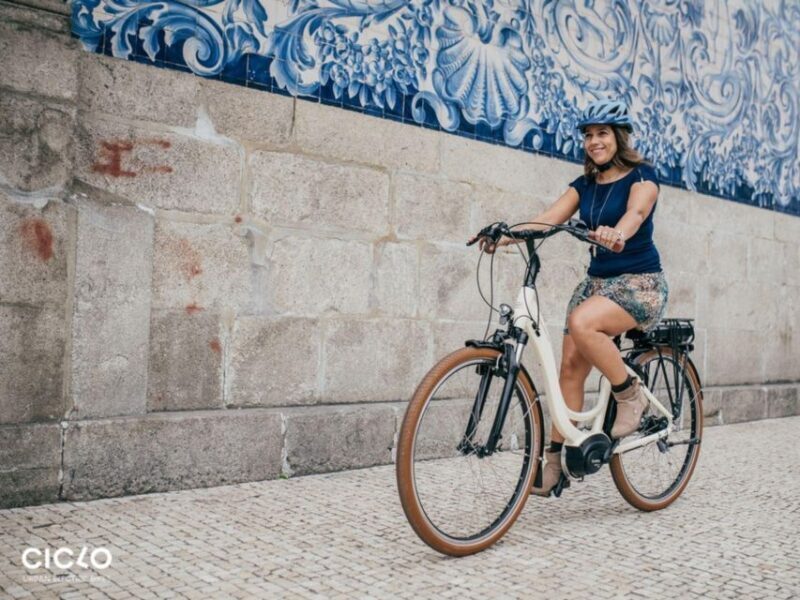 Rent an Electric Bike with Bosch motor - Key Points