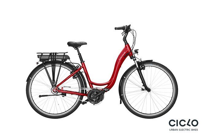 Rent an Electric Bike with Bosch motor - The Highlights and Limitations