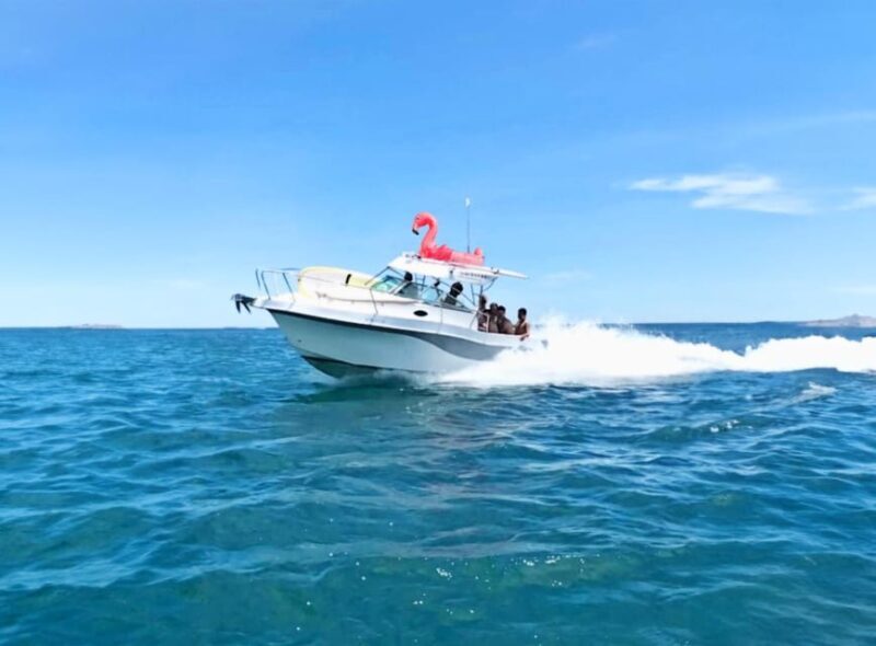 Rent Boat Valencia Yatch Polonova with capitan and drinks - FAQ