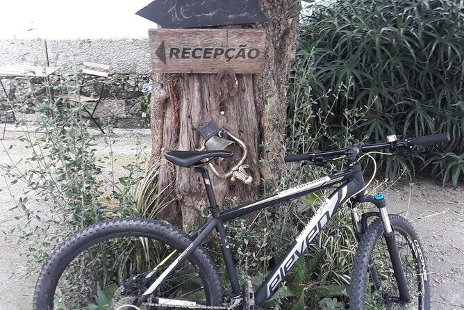 Rent mountain bike for bike path old railway to Famalicão - What to Expect from Your Rental Experience