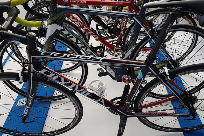 Rent road bike - Key Points