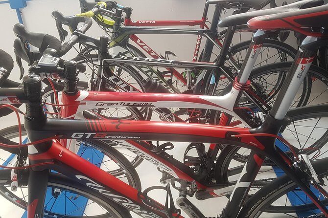 Rent road bike - Why Rent a Road Bike in Palermo?