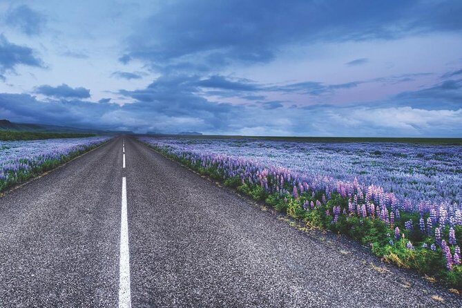 Rent Unlimited High Speed pocket Wifi in Iceland - FAQ: Your Practical Questions Answered