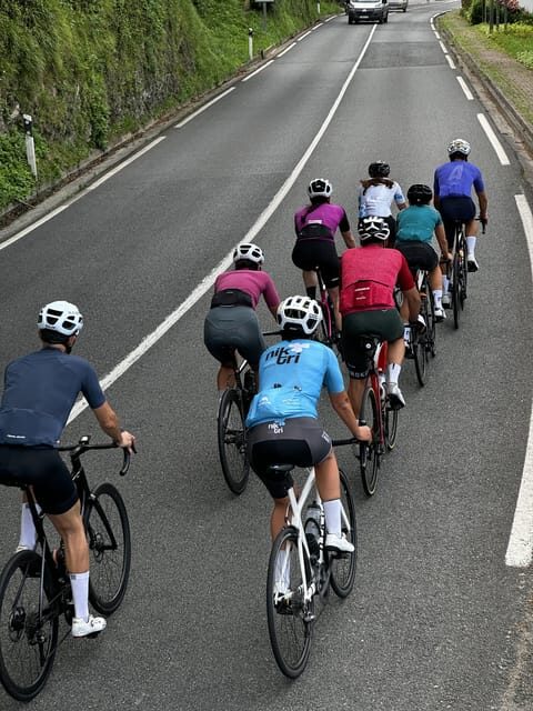 Rent your bike with us and we will help you to discover Gipuzkoa. - Why this bike rental experience might be worth considering