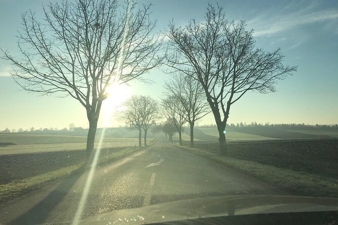 Rental car with driver in Strasbourg - availability 7 hours - What You Can Expect from This Strasbourg Private Car Service