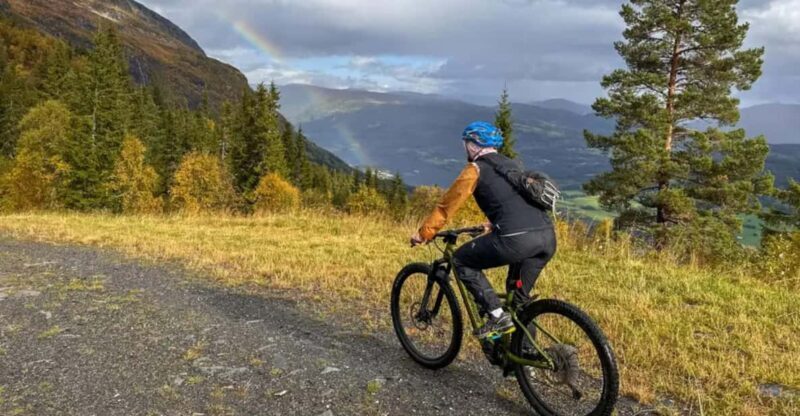 Rentals | E-Mountain Bike - Full Suspension - The Details: What to Expect from Your E-Mountain Bike Rental