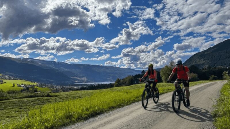 Rentals | Mountain Bike - Full Suspension - Group Size and Duration