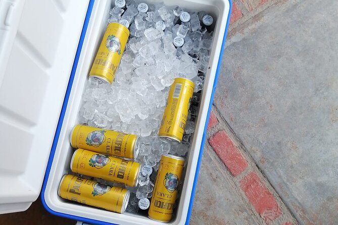 Reserve Cabo Shuttle - SJD Airport - In-Depth Look at the Reserve Cabo Shuttle Experience