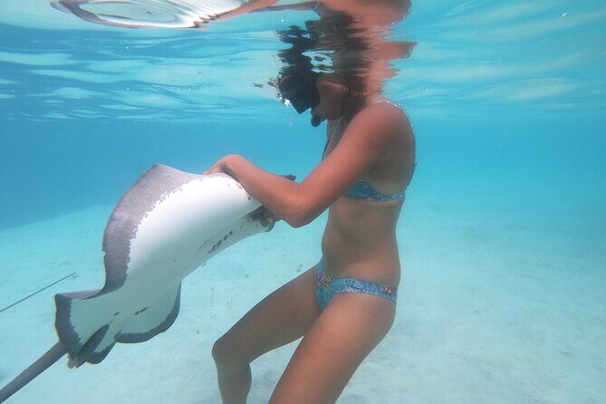 Respectful whale excursion to Tahiti in 4h30 - Final Thoughts