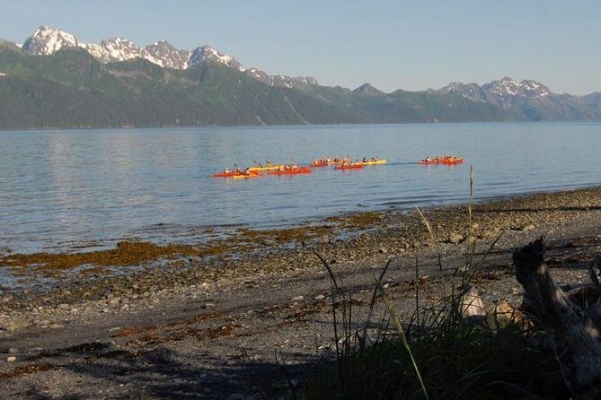 Resurrection Bay Kayaking Adventure - Key Points