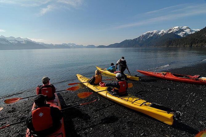 Resurrection Bay Kayaking Adventure - The Paddling Experience: Who Will Love It?