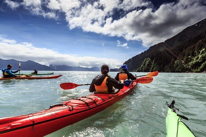 Resurrection Bay Kayaking Adventure - Frequently Asked Questions