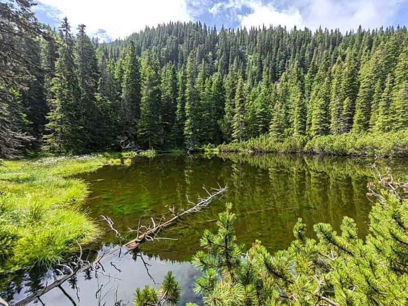 Retezat National Park: Full day hike from Cluj Napoca - Key Points